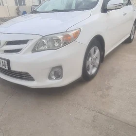 Toyota Corolla 2011