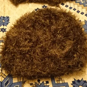 Cehol