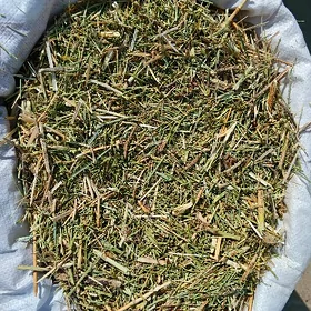 yandak