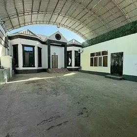 Coganly plan ‎ eyesi