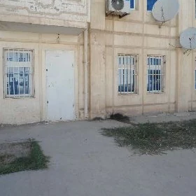 satlyk podwal ofis