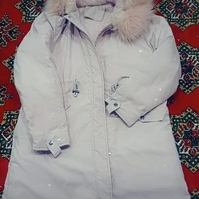 kurtga
