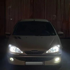 Peugeot 206 2009