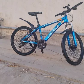 welik satlyk srocny