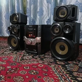 Panasonic sentr
