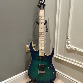 Gitara гитара Ibanez RG421AHM