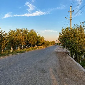 boş melek