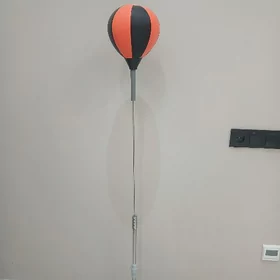 Boksyorskiy grusa kici