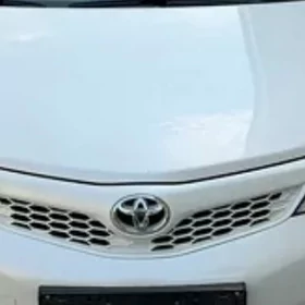 Palta camry abilsowka