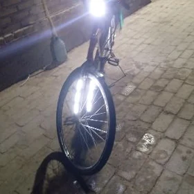 welsopet