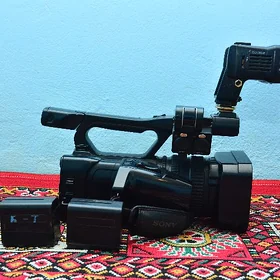 Sony ex100