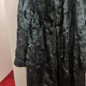 şuba