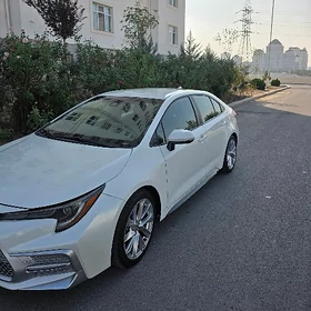 Toyota Corolla 2021
