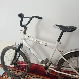TIGIR (WELOSIPED) BMW