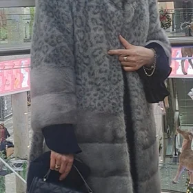 Şuba