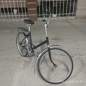 Tigir Kama Russia