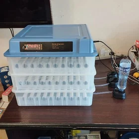 500 ýumurtga üçin inkubator