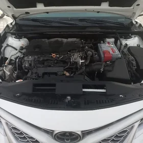Toyota Camry 2019