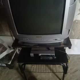 Telewizor