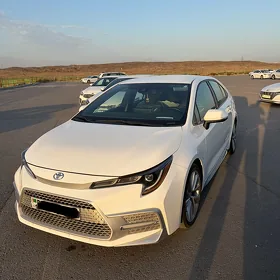 Toyota Corolla 2021