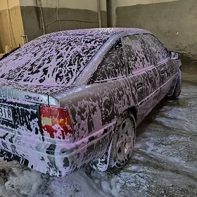 Opel Vectra 1991