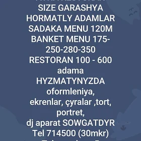 AYNA RESTORAN TOY MENU 175m