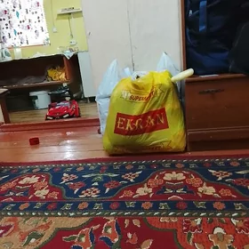 одежда