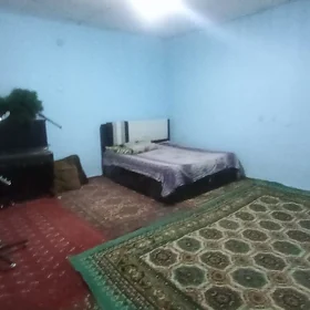 çoganlyda arenda komnat