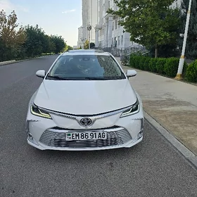 Toyota Corolla 2021