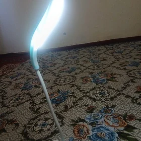 Stony Lampa
