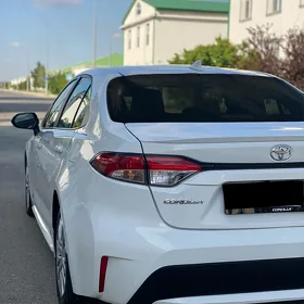 Toyota Corolla 2025