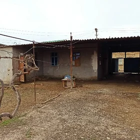 дача