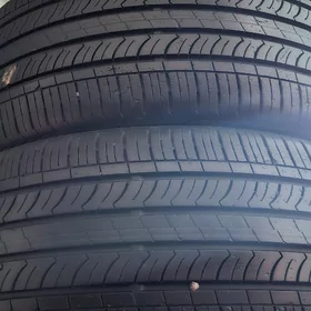 225 45 17 nexen 2024