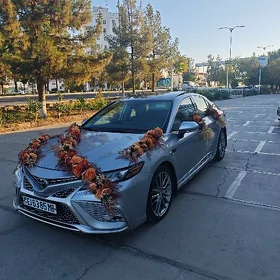 Toyota Camry 2024