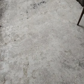 хамелеон ковёр