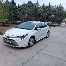 Toyota Corolla 2024
