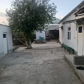 Kwartira.Magtymguly 3 köçe .