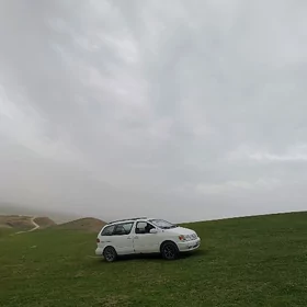Toyota Sienna 2002