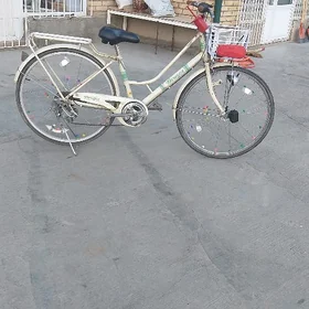 Tigyr
