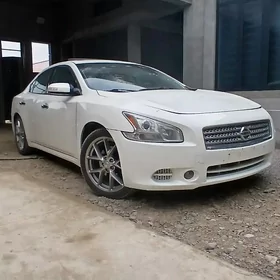 Nissan Maxima 2010