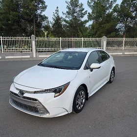 Toyota Corolla 2024