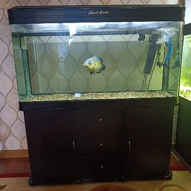 Продается аквариум