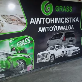 Moyka