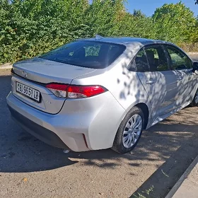 Toyota Corolla 2024