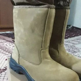 sapok
