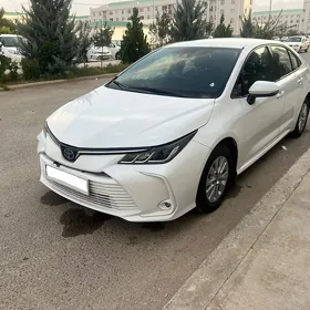 Toyota Corolla 2021