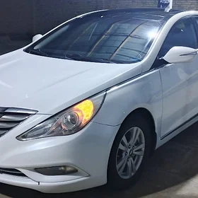 Hyundai Sonata 2010