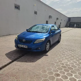 Toyota Corolla 2010