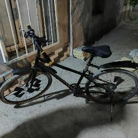 welik 26