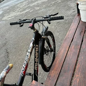 satlyk tigir